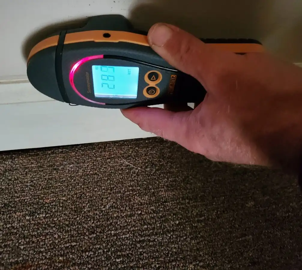 Moisture detection at baseboard during Mold Inspection & Testing in North Augusta